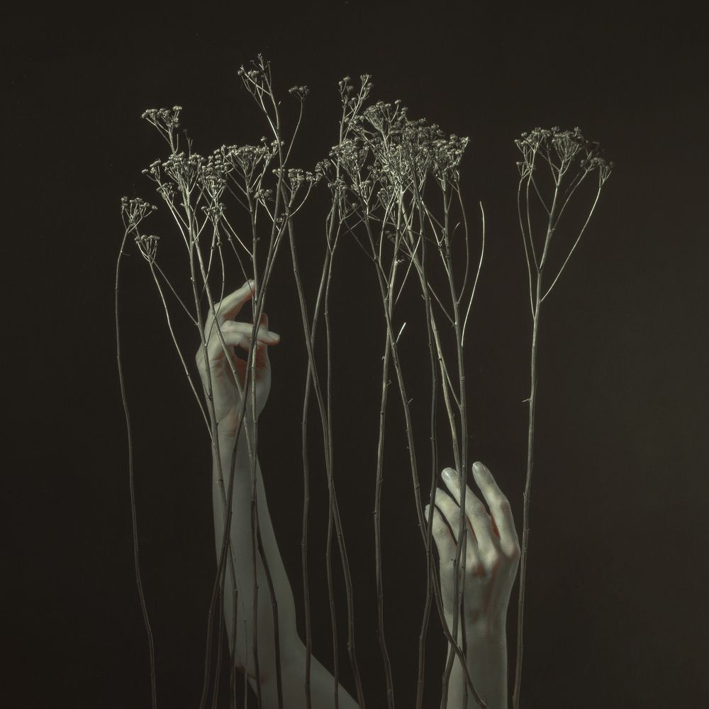 Photograph by Ира Будниченко