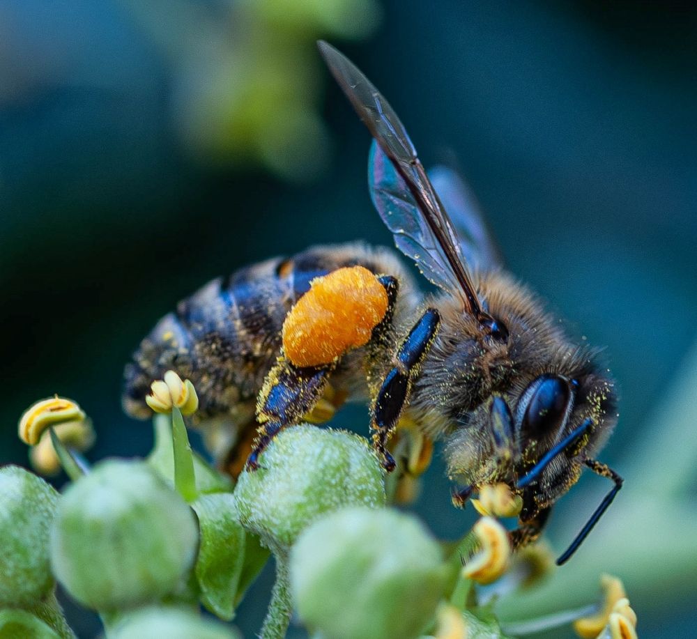Фотография автора DIMITRIS MPAZIOTOPOULOS