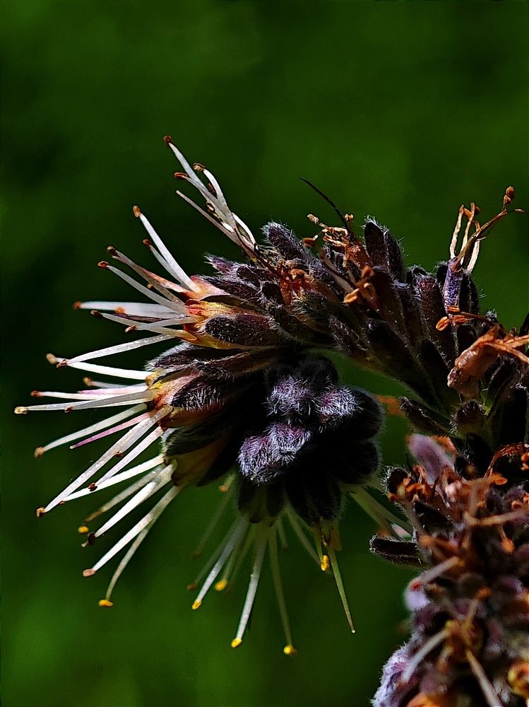 Photograph by Анна Курлова