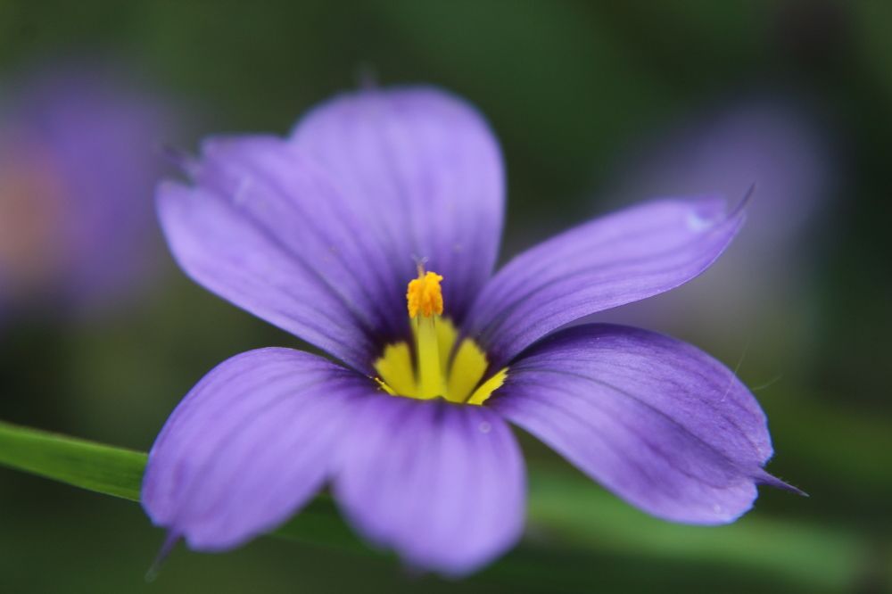 Photograph by Yordanka Vasileva