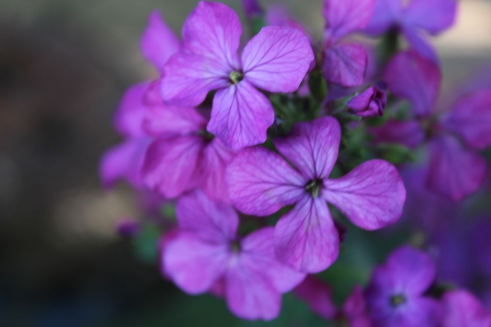 Photograph by Yordanka Vasileva