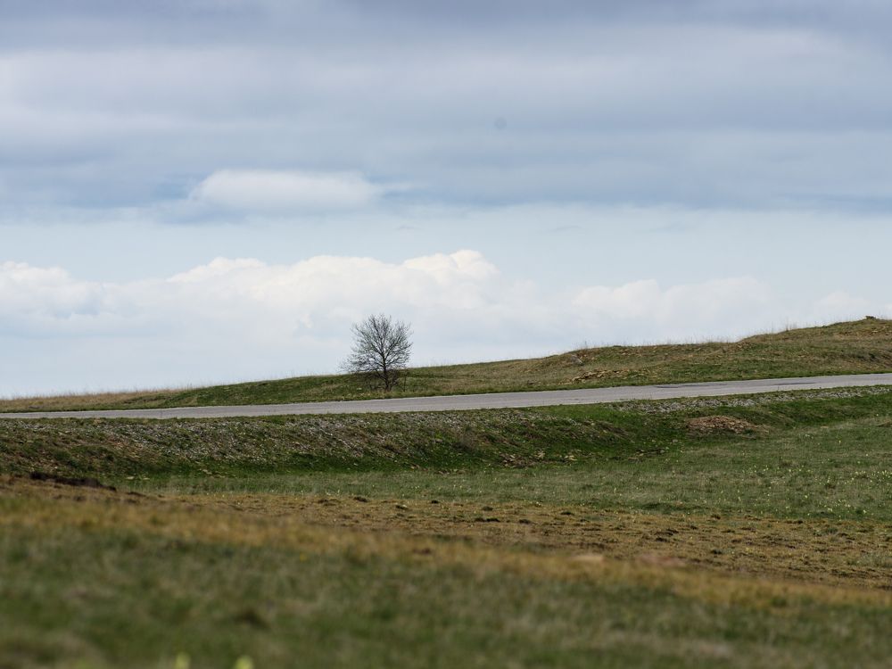 Photograph by Денис Вавилов