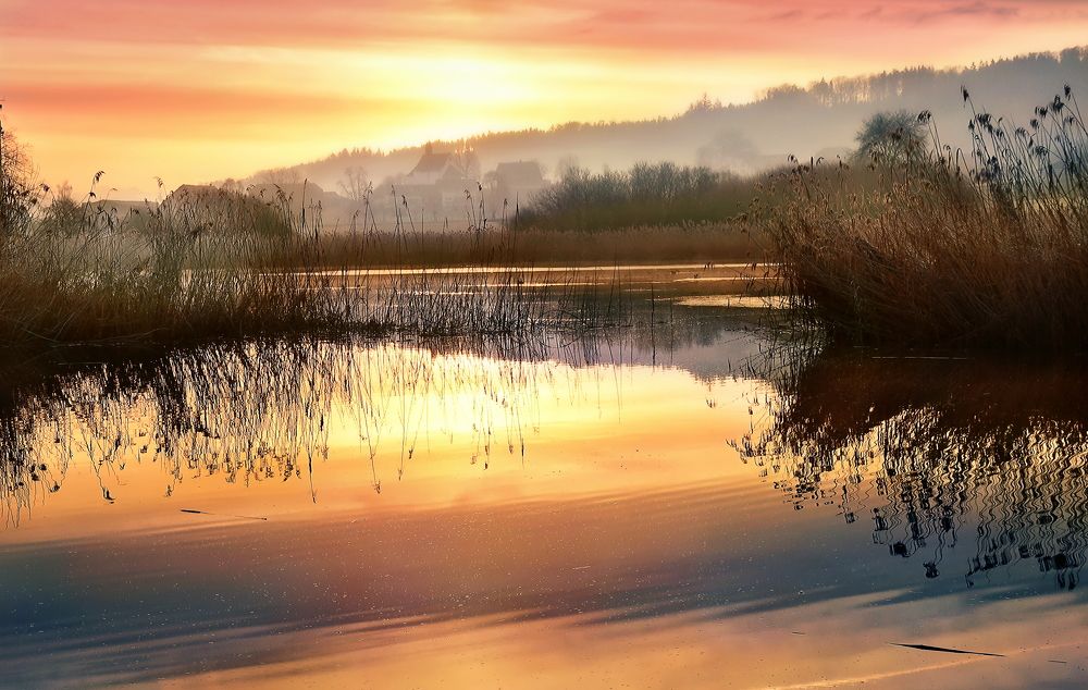 Photograph by Wymann Elena