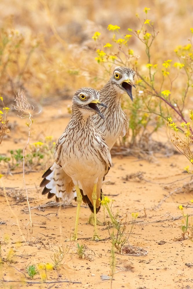 Photograph by Власов Егор