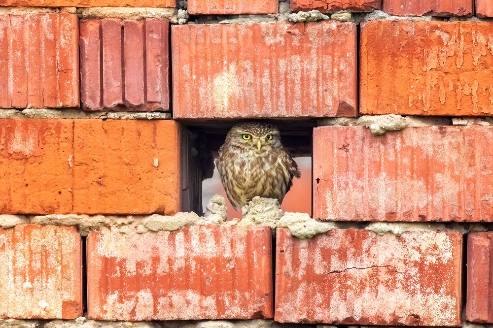 Photograph by Власов Егор