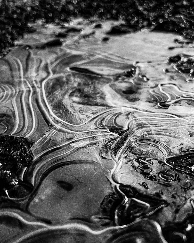 Фотография автора Александр Максимов