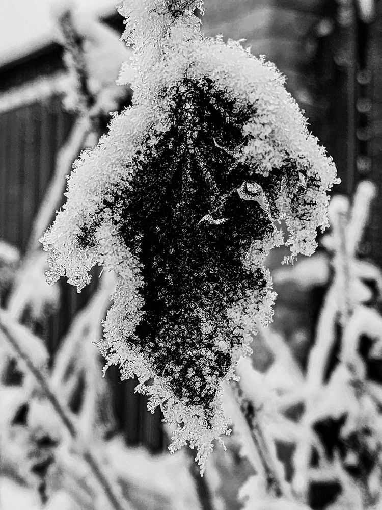 Photograph by Александр Максимов