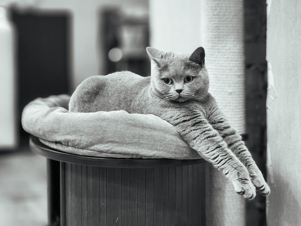 Photograph by Александр Максимов