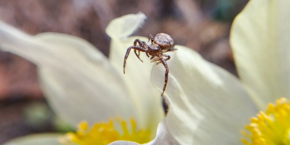 Photograph by Сергей Хранитель