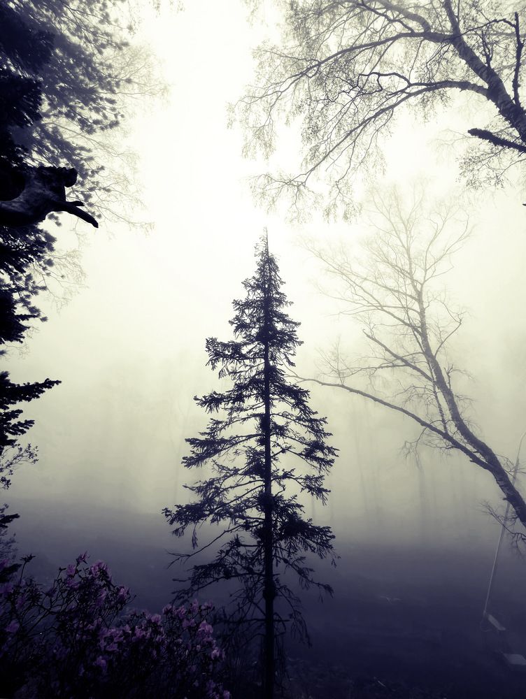 Photograph by Natalia Levenih