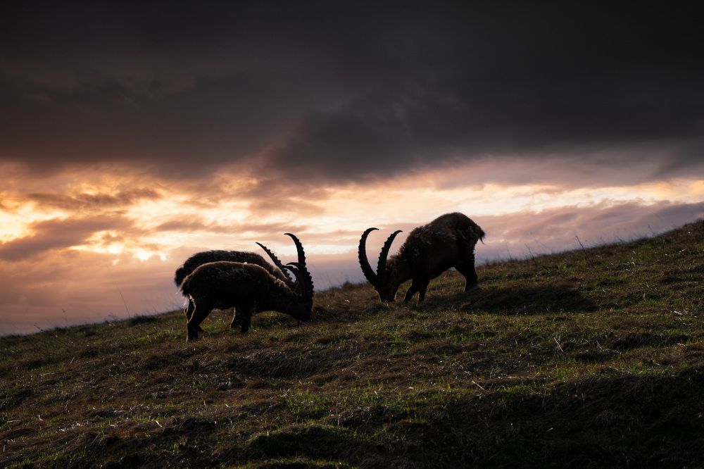 Photograph by Jean pierre