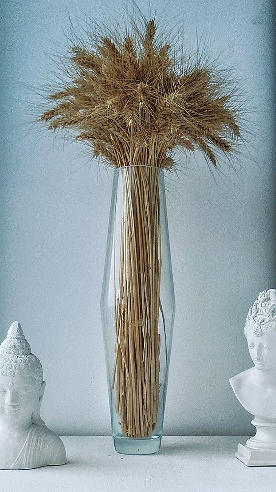 Photograph by Дмитрий Степанов