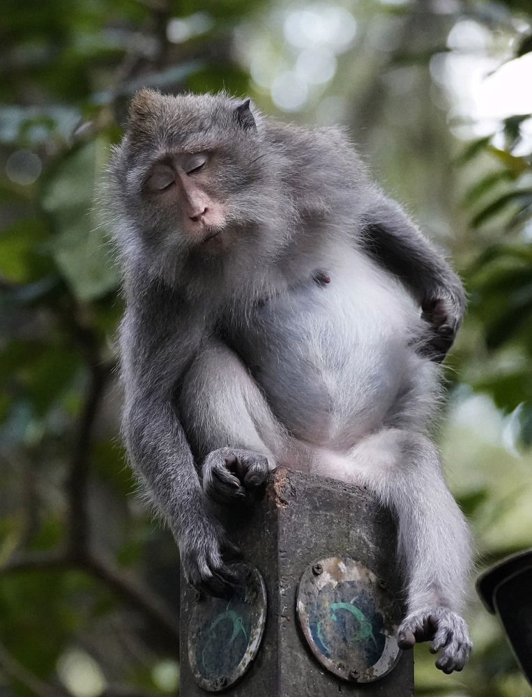 Photograph by Raed Victor Saad