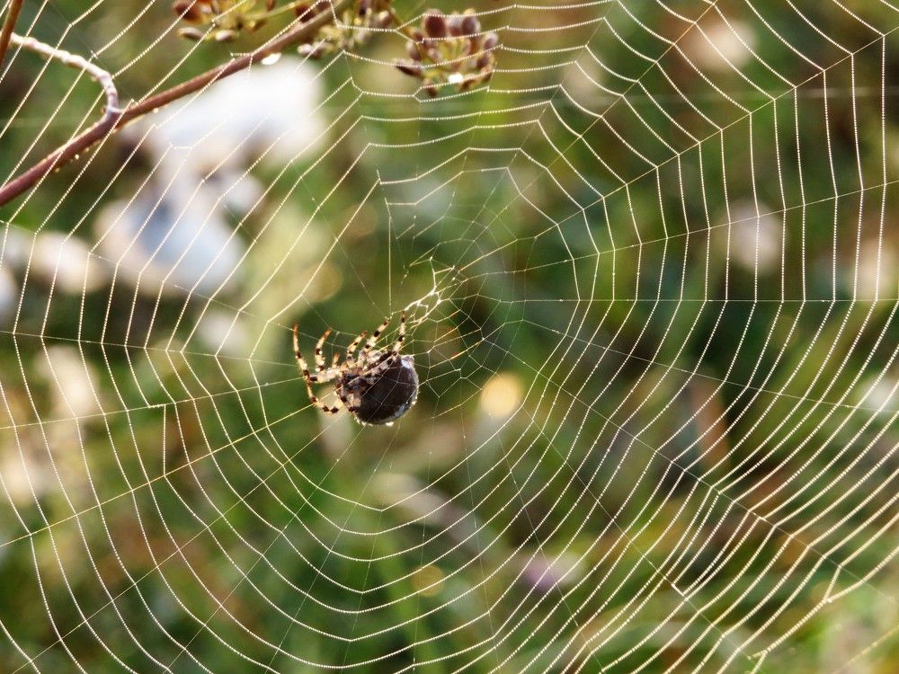 Photograph by Лариса Басова