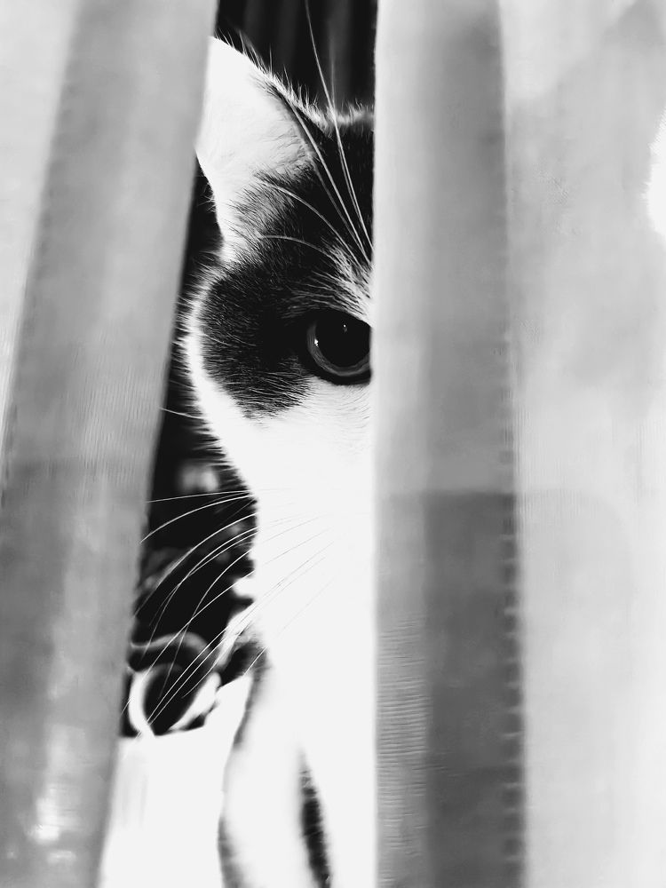 Photograph by Артем Лазарев