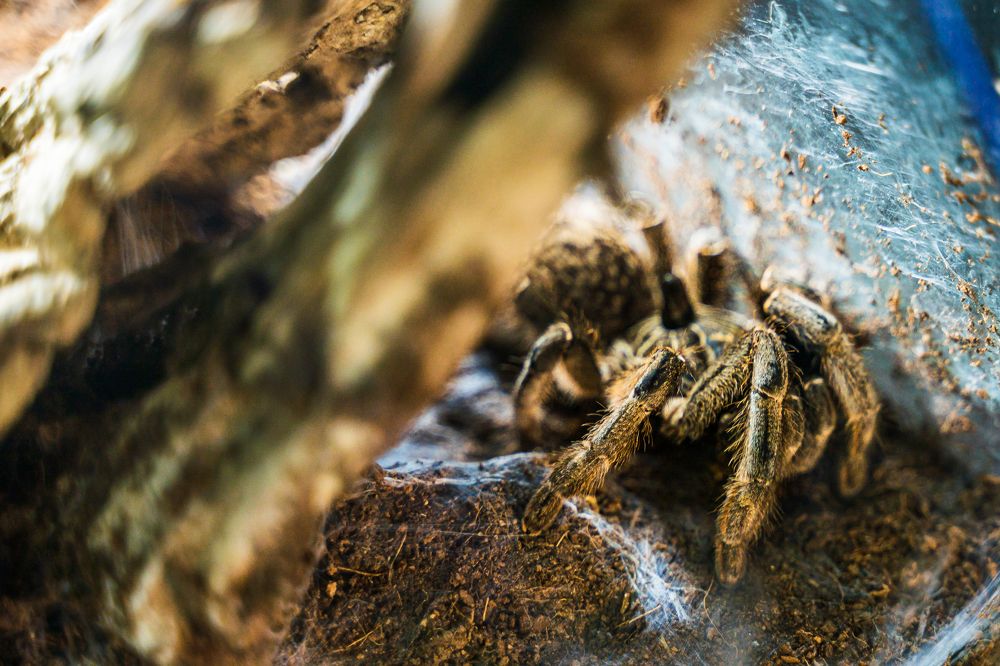 Photograph by Артём Александрович