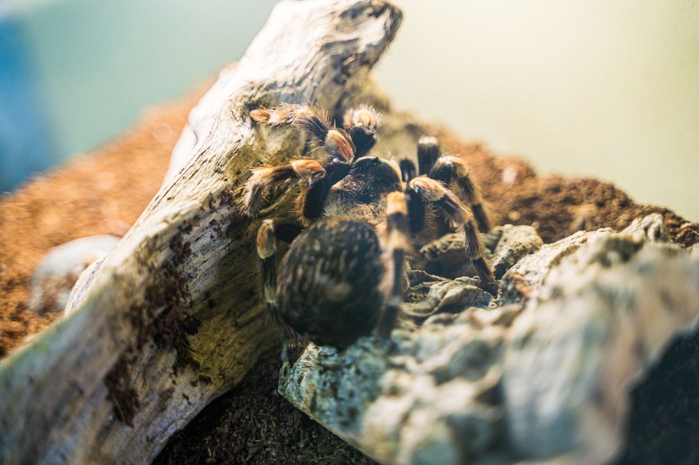 Photograph by Артём Александрович