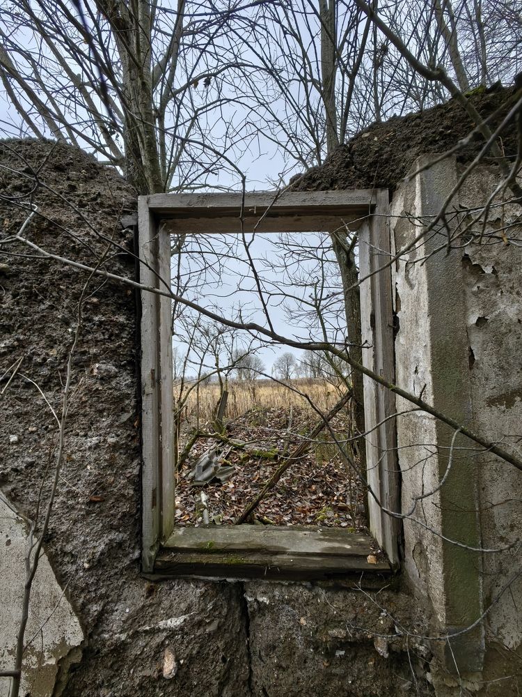Photograph by Артем Лазарев