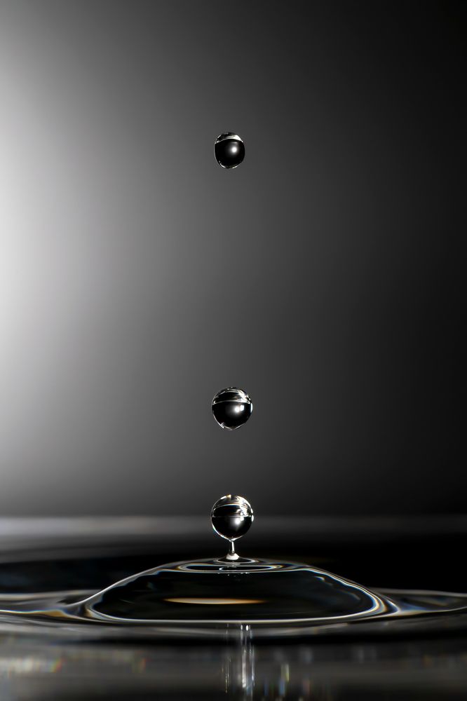 Photograph by Medeiros Everton