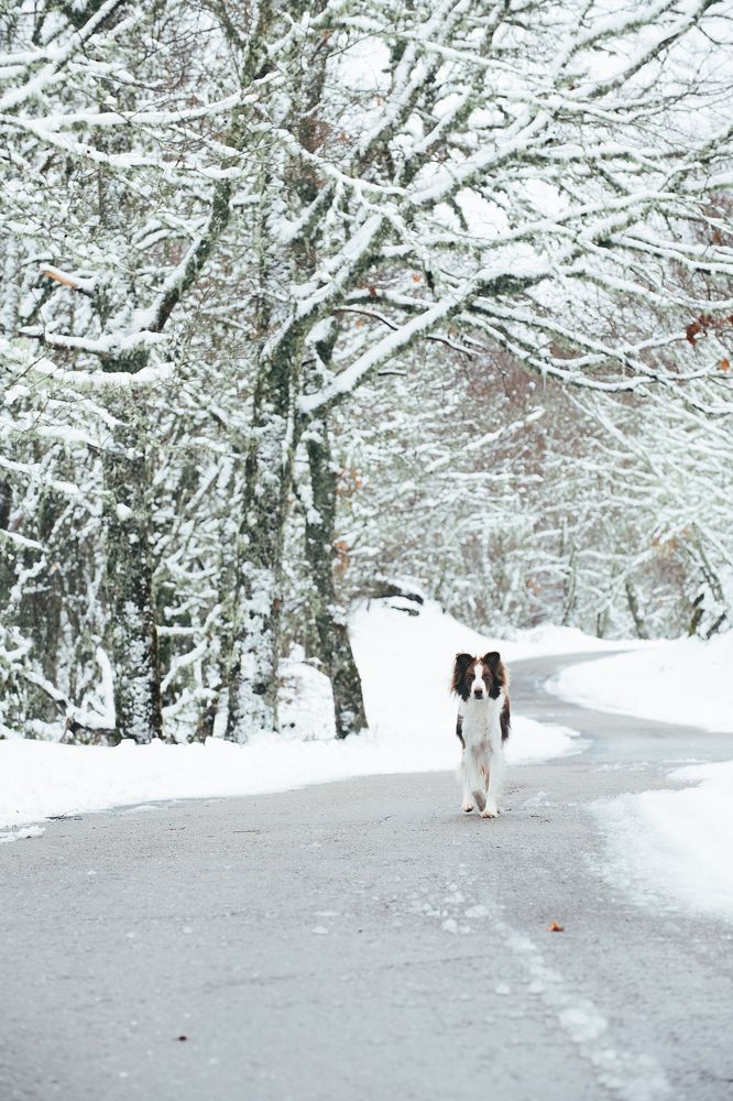 Photograph by Noa Táboas