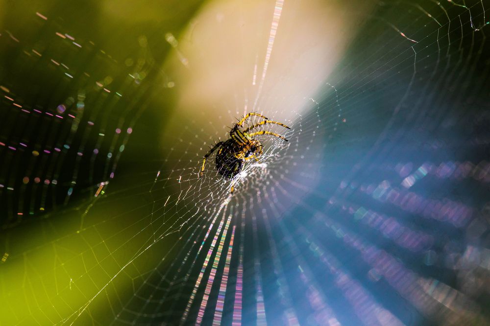 Photograph by Волынский Виктор