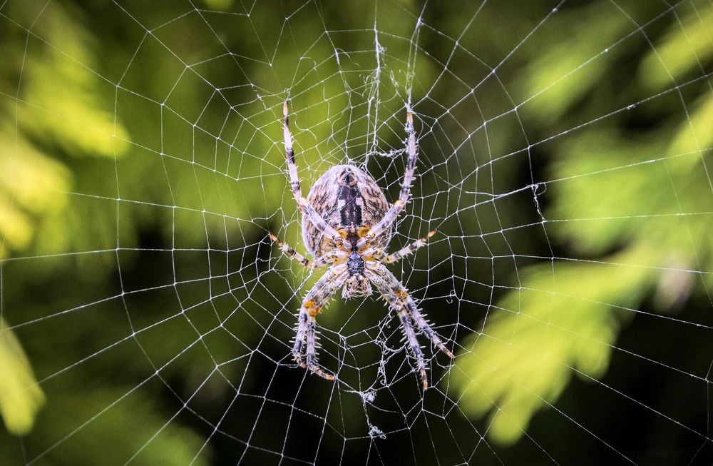 Photograph by Юлия Ковальчук