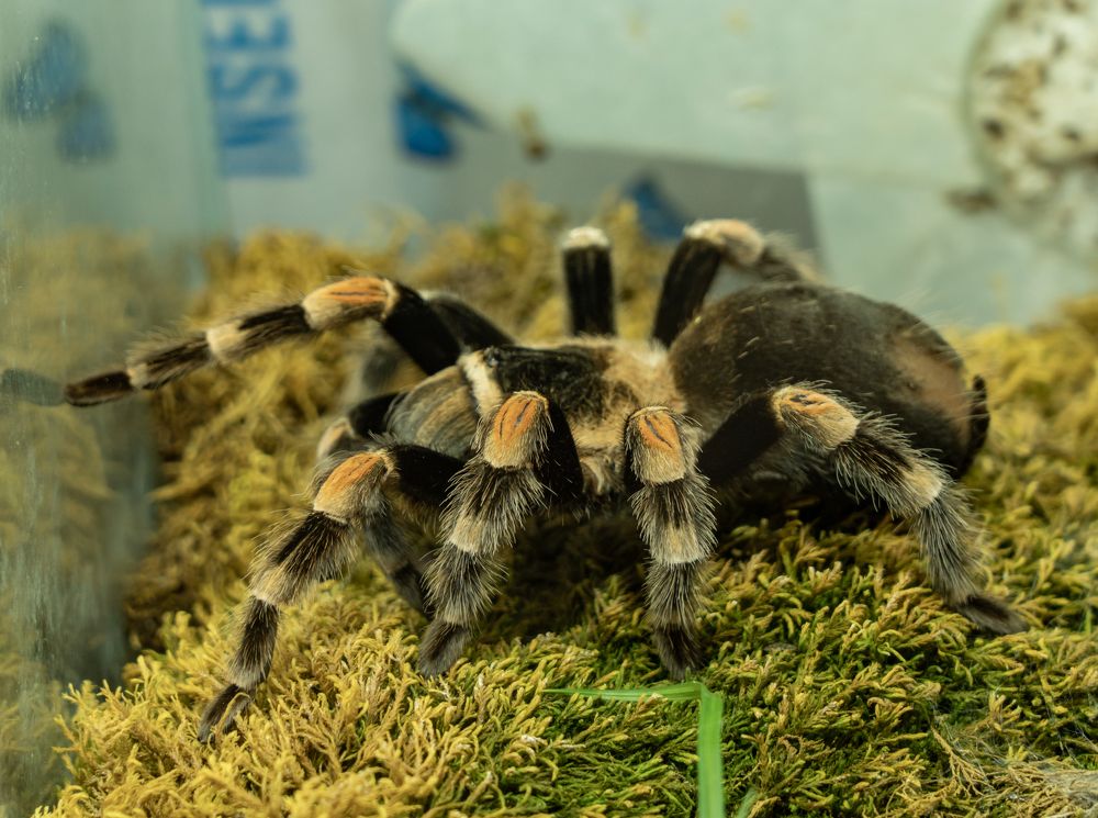 Photograph by 