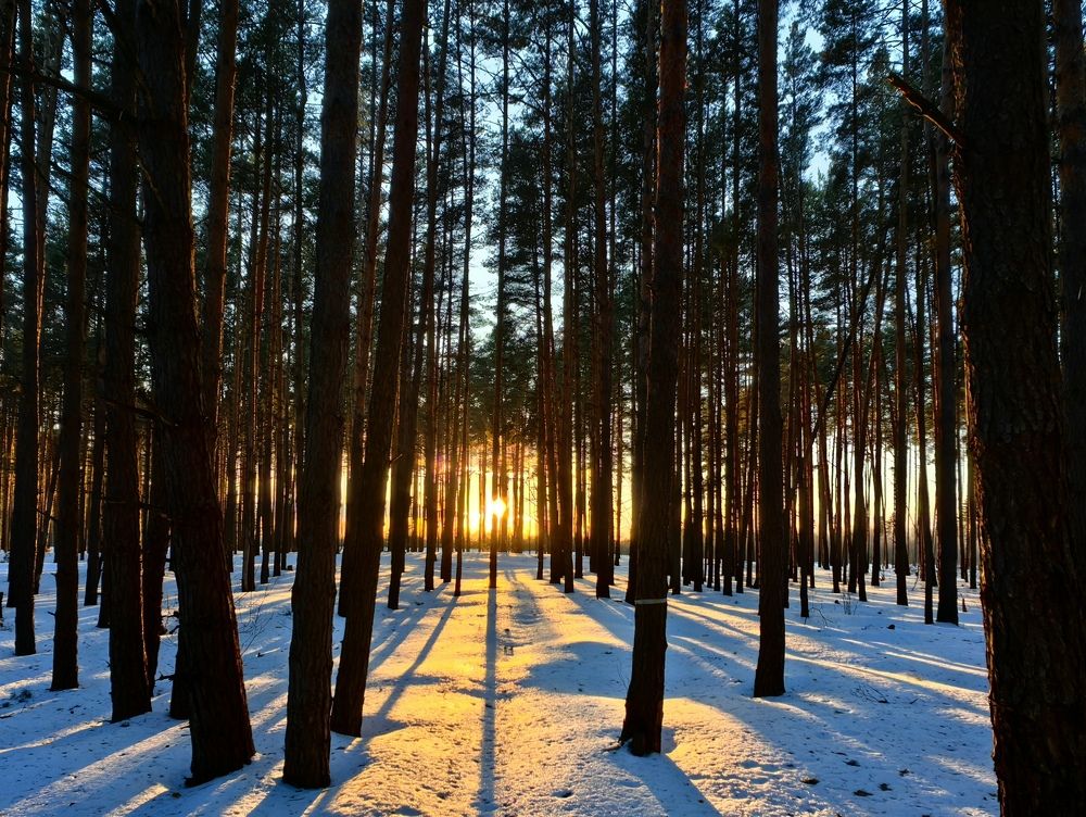 Photograph by Артем Лазарев