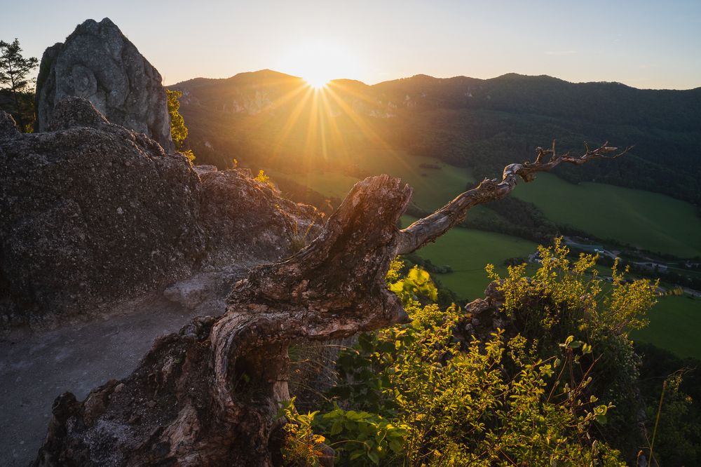 Photograph by Jaroslav Svetlossak