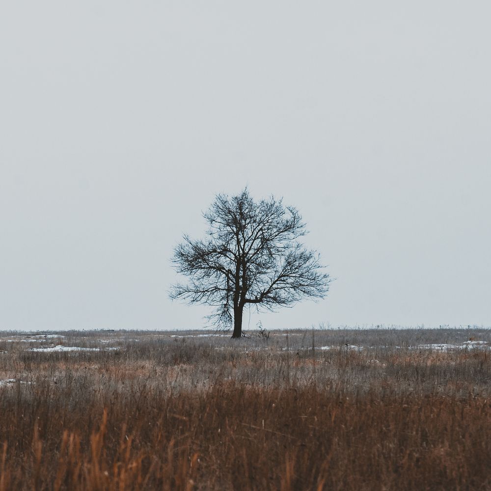 Photograph by Кирилл Миркулов