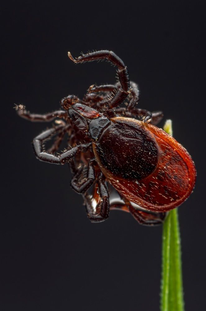 Photograph by Сергей