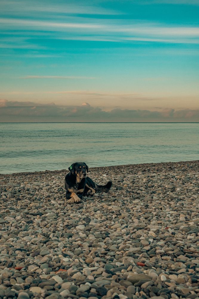 Photograph by Сергей Зимин