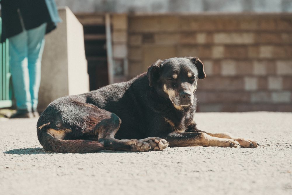 Photograph by Сергей Зимин