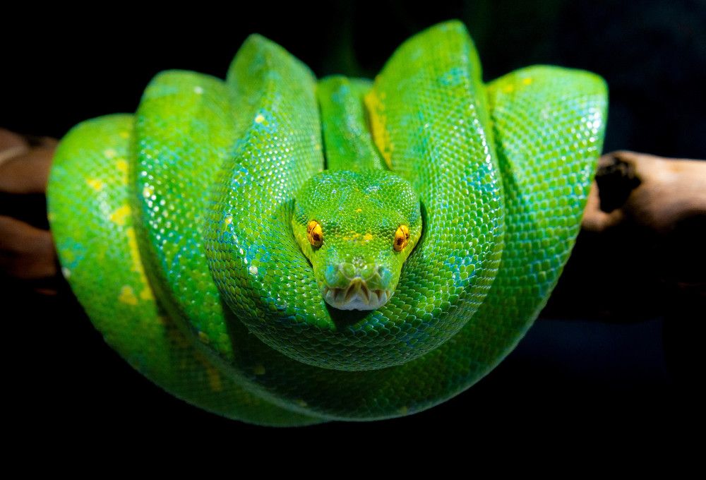 Photograph by Aleksandr Kolonsky