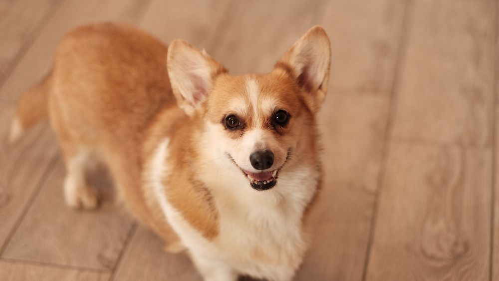 Photograph by Лариса Андреева