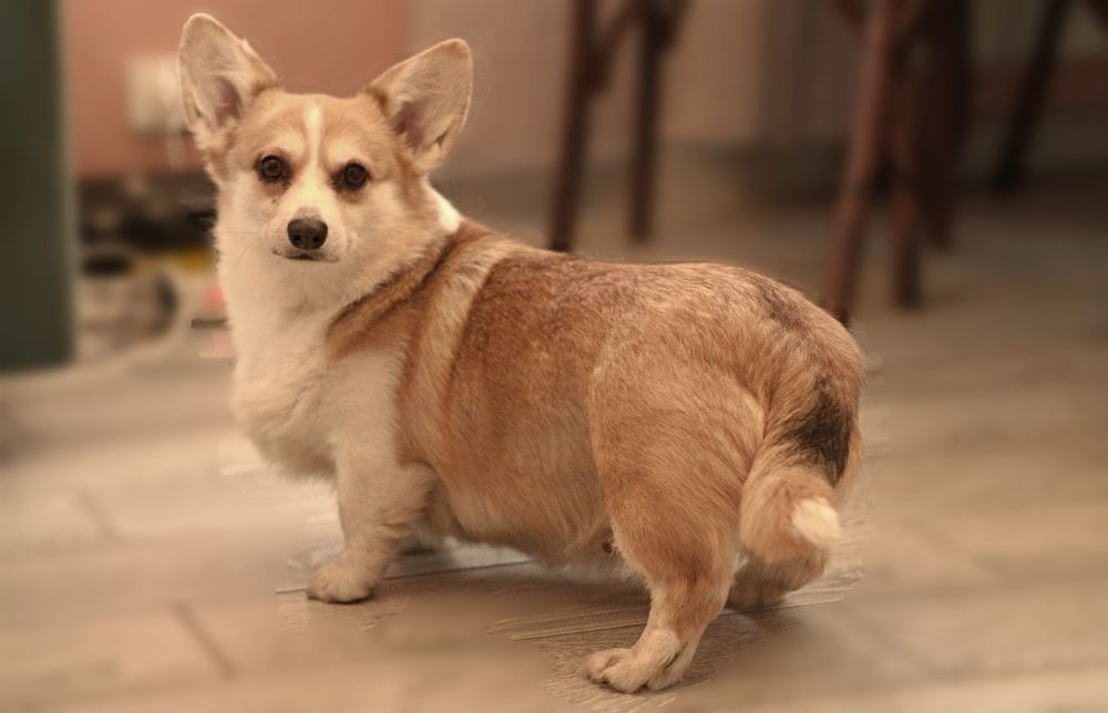 Photograph by Лариса Андреева