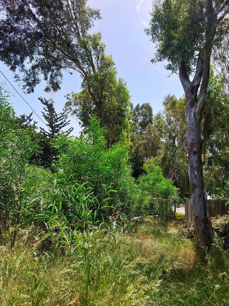 Photograph by Osama Atef Khaleel