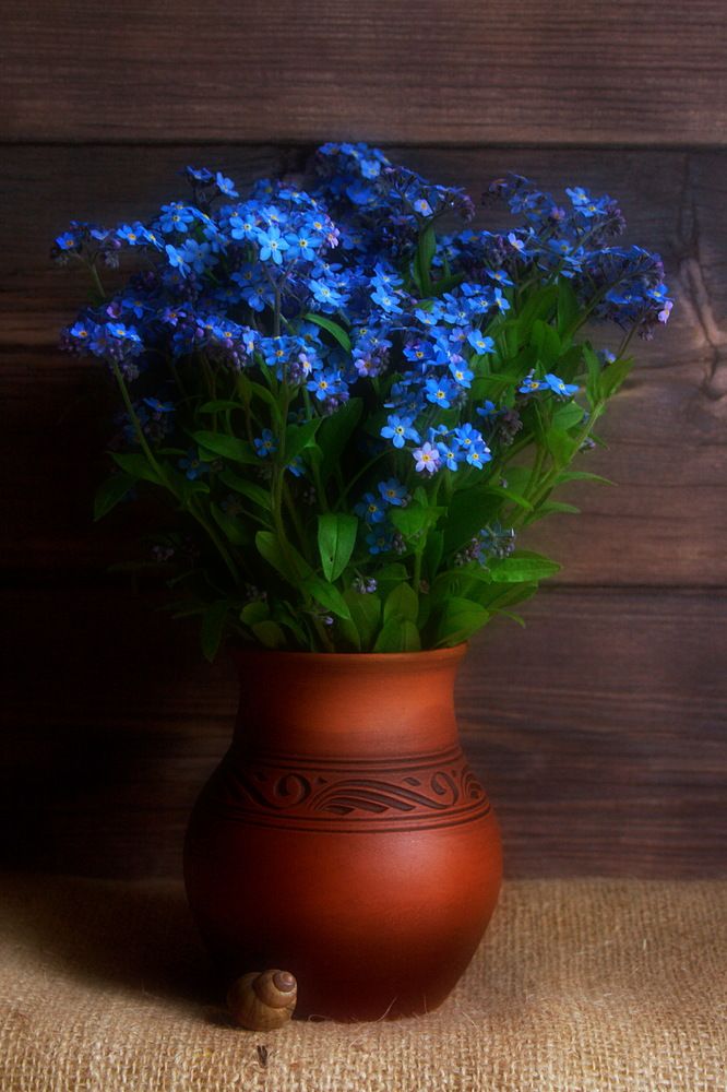 Photograph by Yroslava Veretina