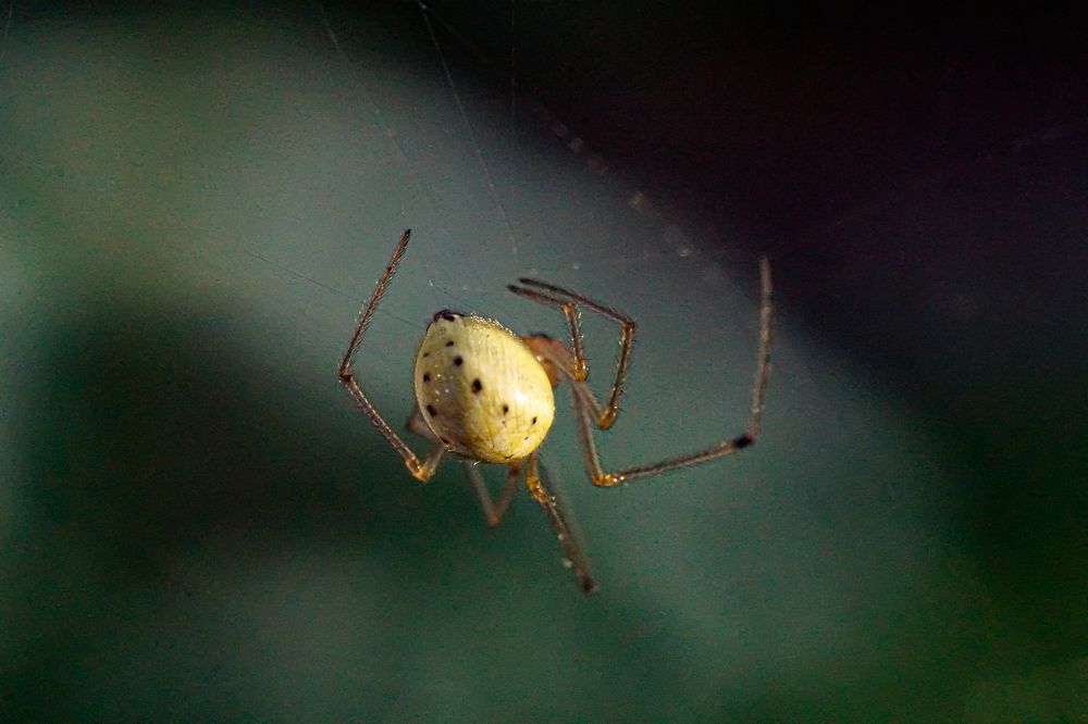 Photograph by Алфия Бугакова