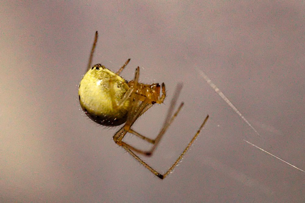 Photograph by Алфия Бугакова