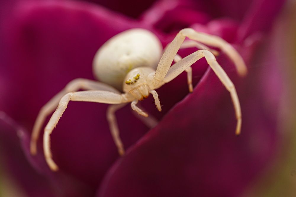 Photograph by Алфия Бугакова