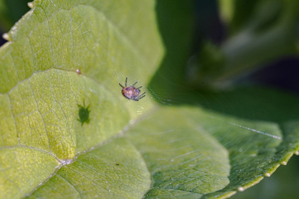 Photograph by Алфия Бугакова