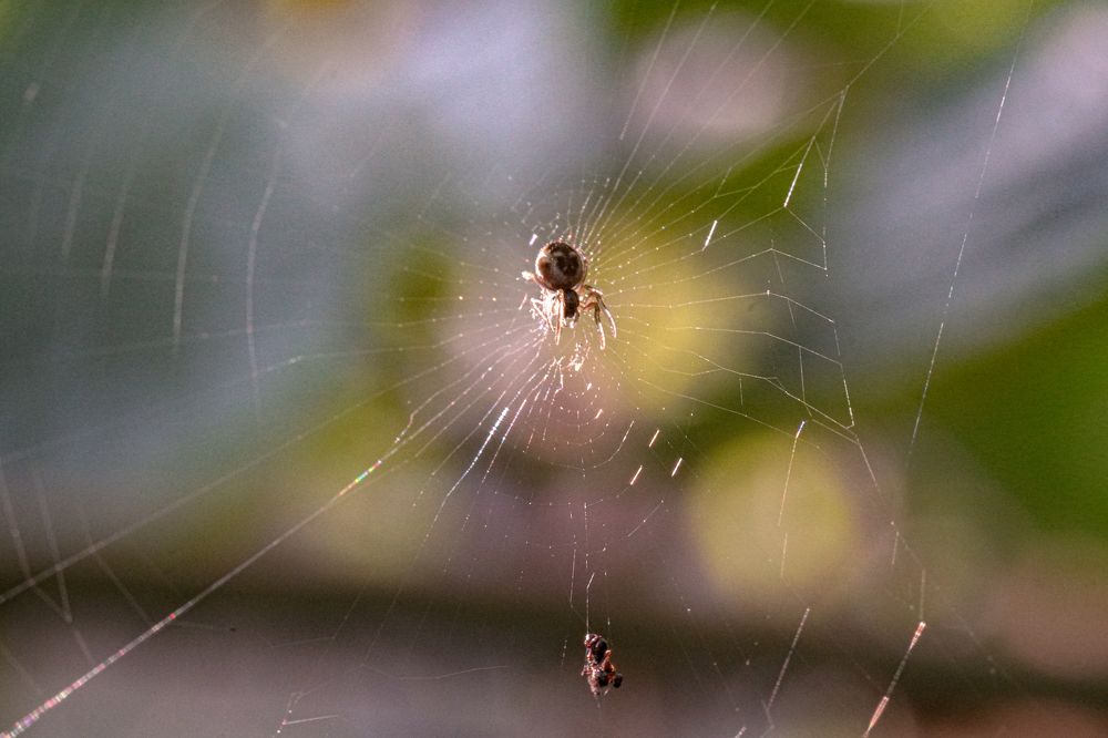 Photograph by Алфия Бугакова