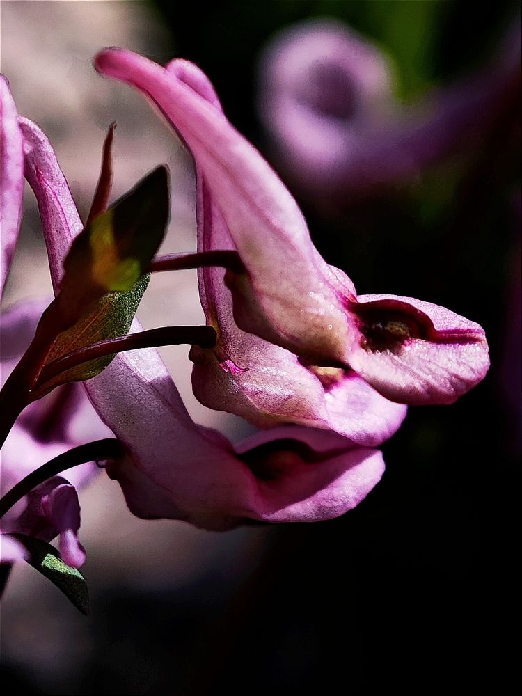 Photograph by Анна Курлова