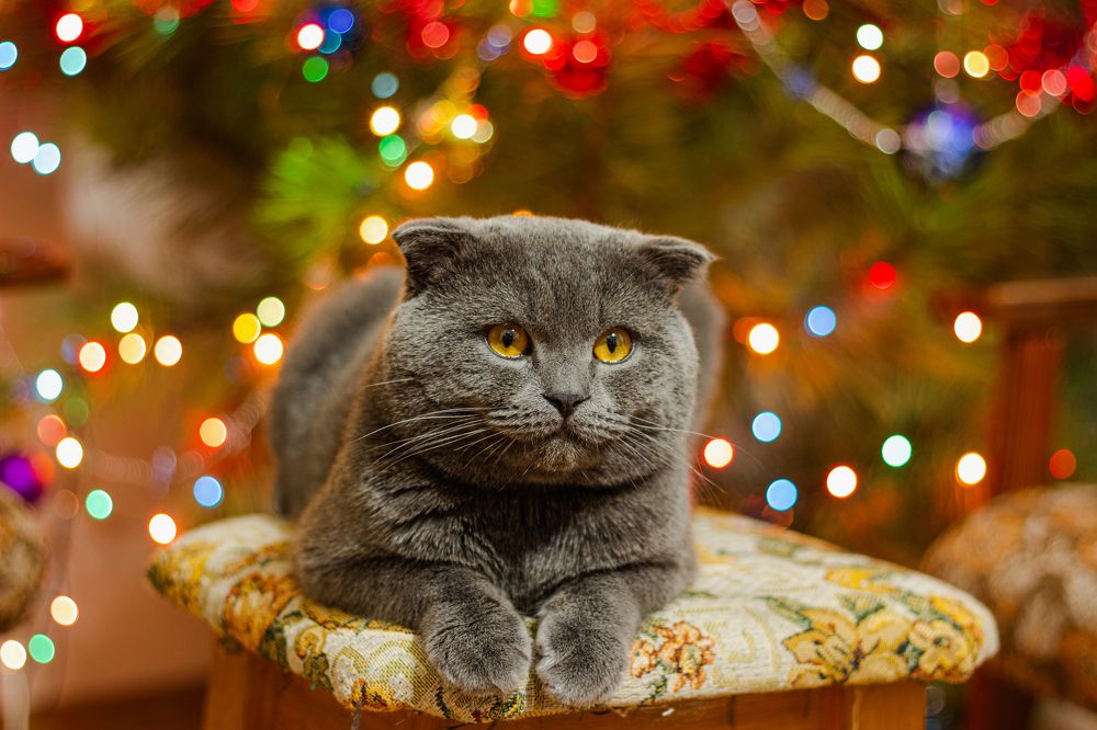 Photograph by Роман Якута