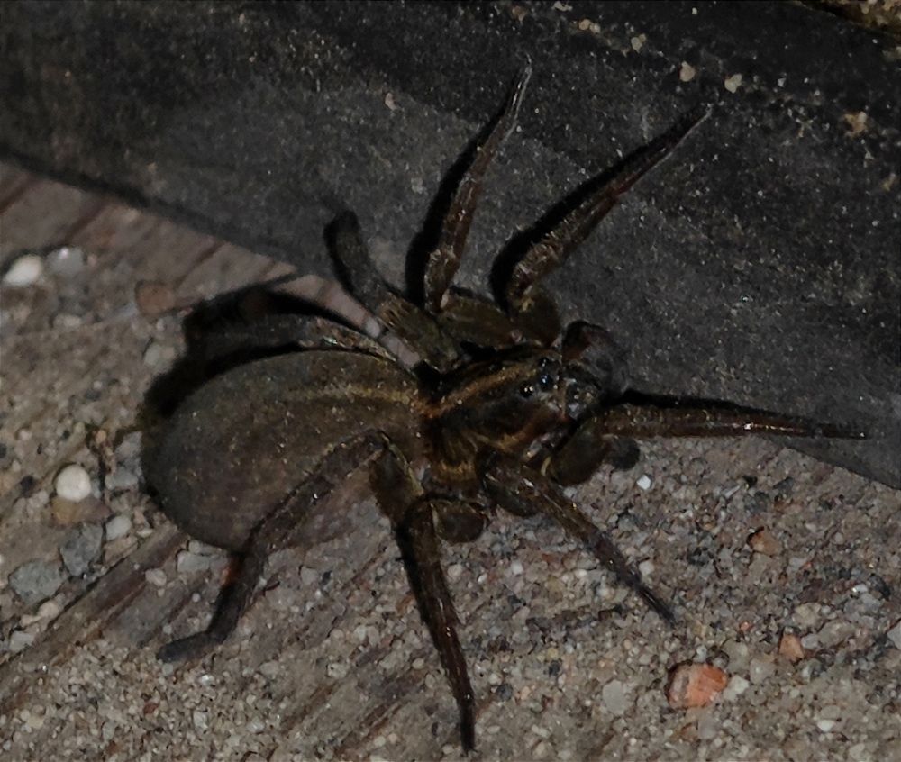 Photograph by Анна Курлова