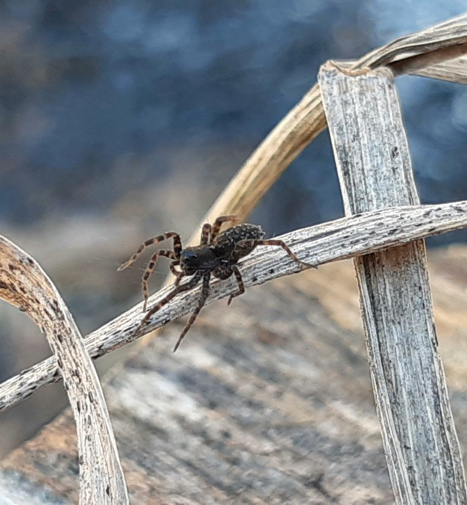 Photograph by Екатерина