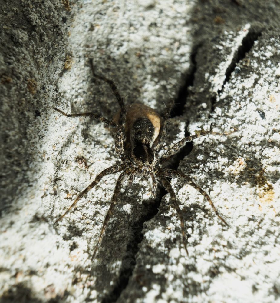 Photograph by Кирилл Рогов