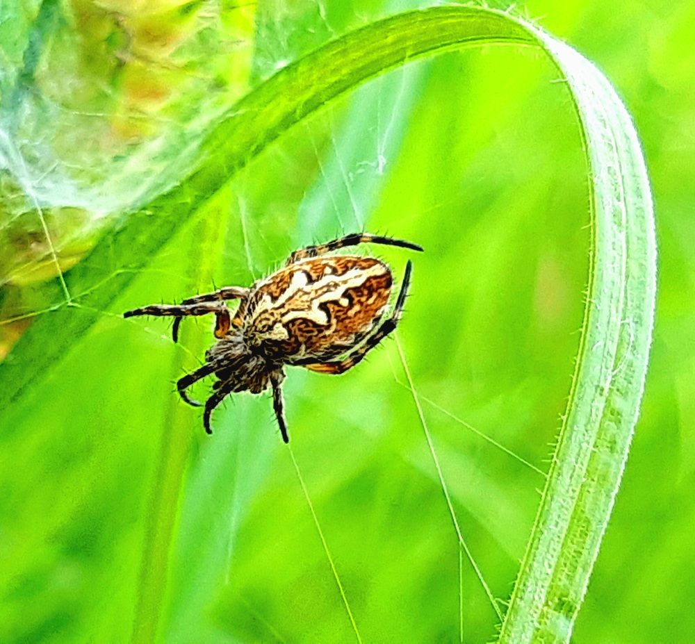 Photograph by Екатерина