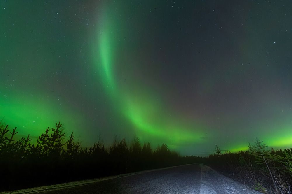 Photograph by Алексей Чеботарев